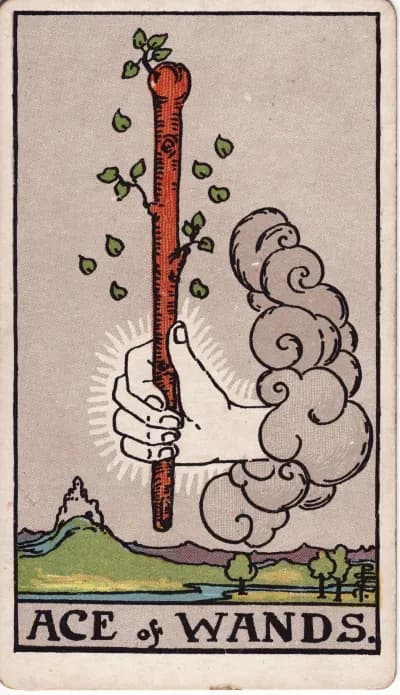 The Ace of Wands tarot card (Rider–Waite–Smith, 1909)