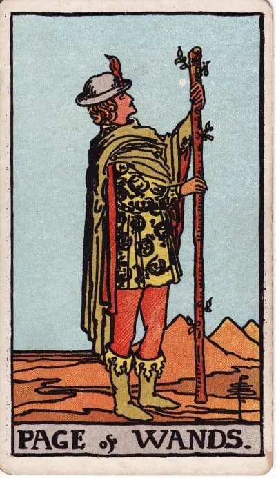 The Page of Wands tarot card (Rider–Waite–Smith, 1909)